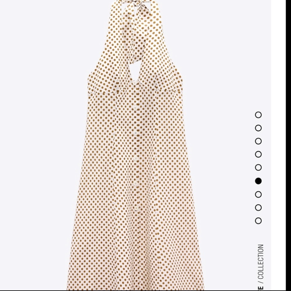 Zara polka dot dress bloggers fav - Picture 14 of 16